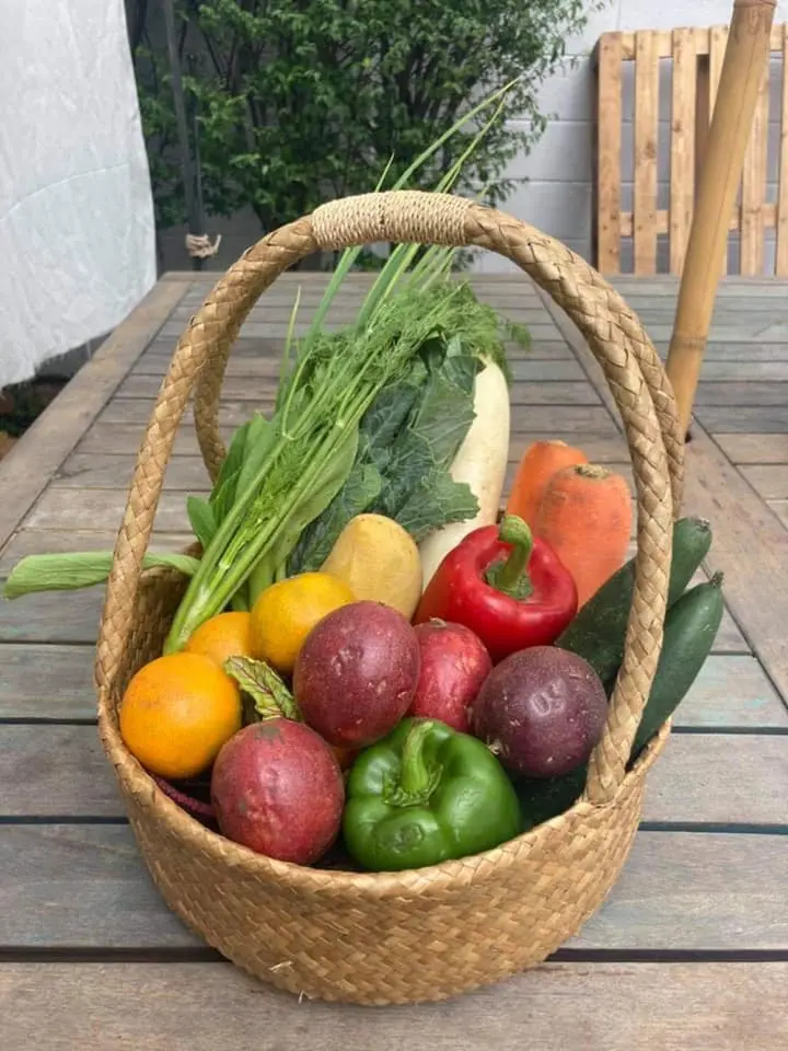 Surprise Fruit and Veggie Healthy Box size M