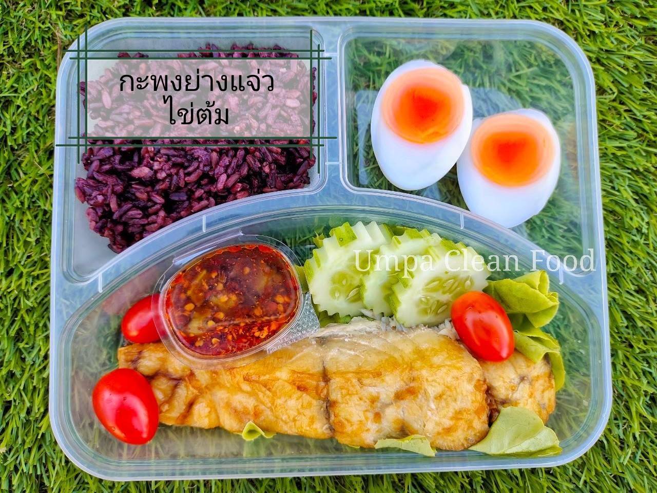 1x Healthy Fish Box 🐟