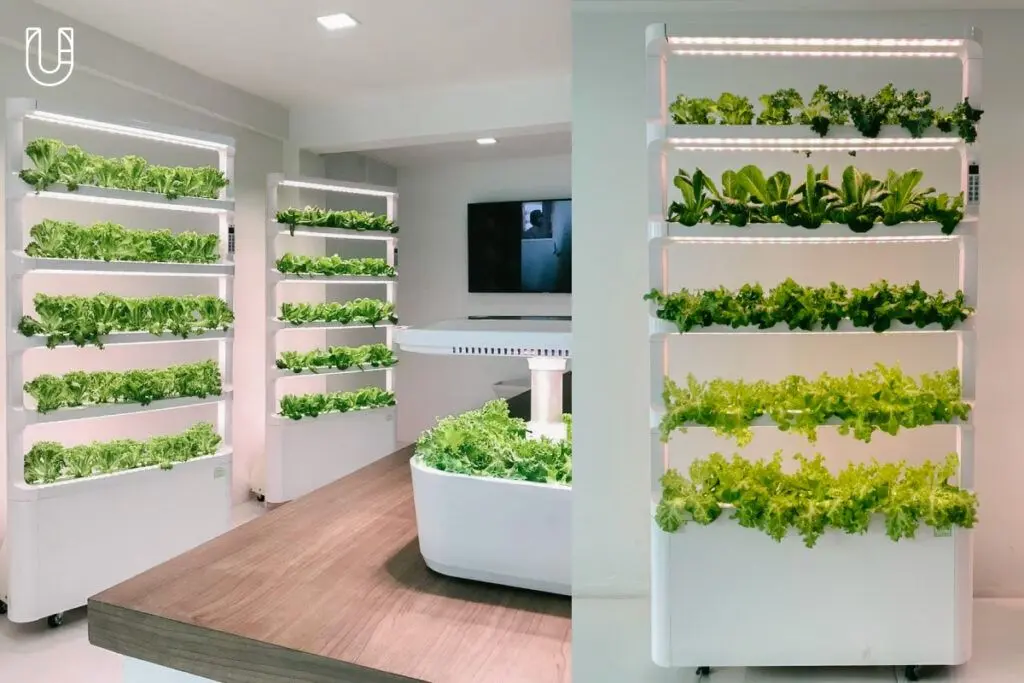 LED FARM