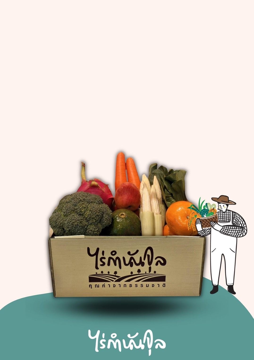 Fruits (Size S ) (Evening box ð)