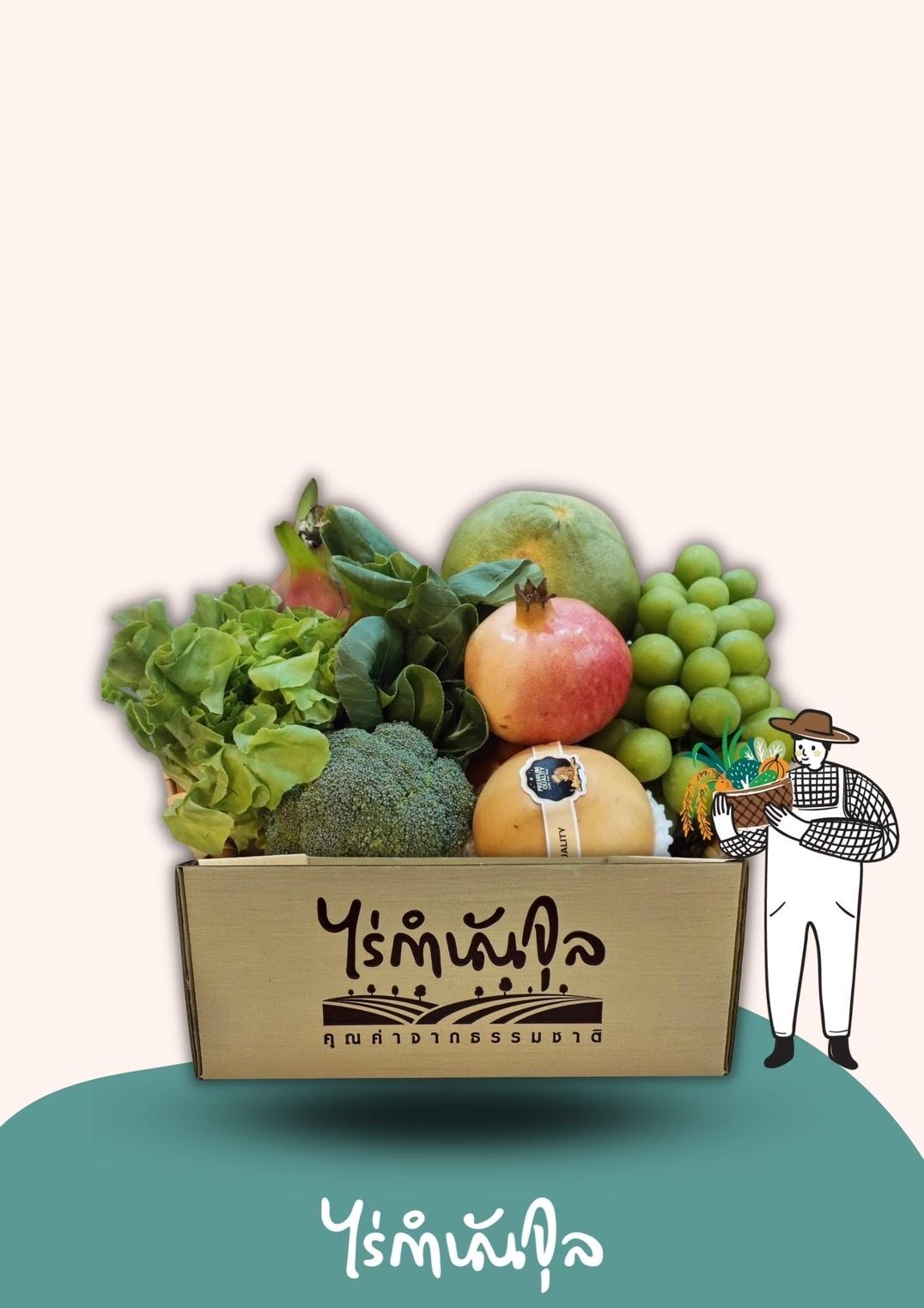 Fruits & Vegetables(Size M)