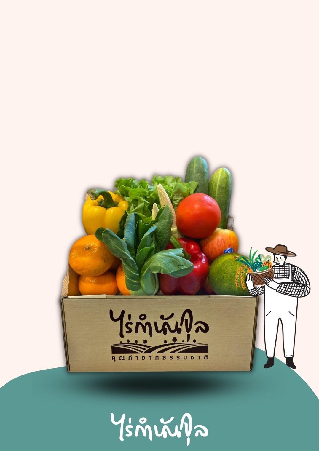 Fruits & Vegetables (Size L)