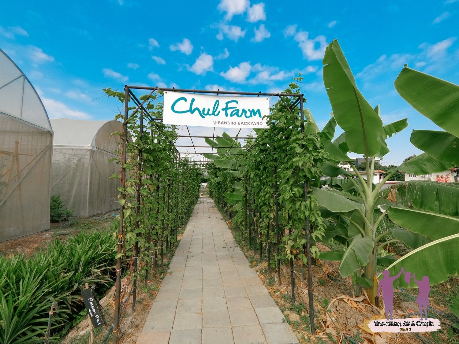 Chul Farm at HomePro Ekamai-Ramintra