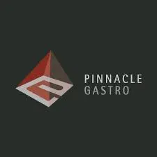 Pinnacle Gastro